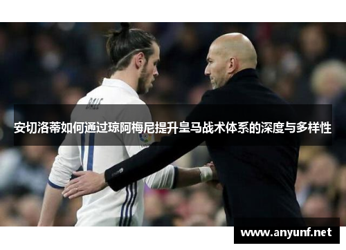 安切洛蒂如何通过琼阿梅尼提升皇马战术体系的深度与多样性